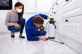 Trusted Collinsville, IL Pest control Experts